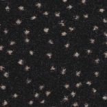 Constellation - 990